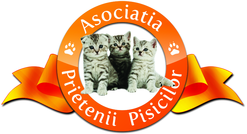 Asociatia Prietenii Pisicilor, Oradea
